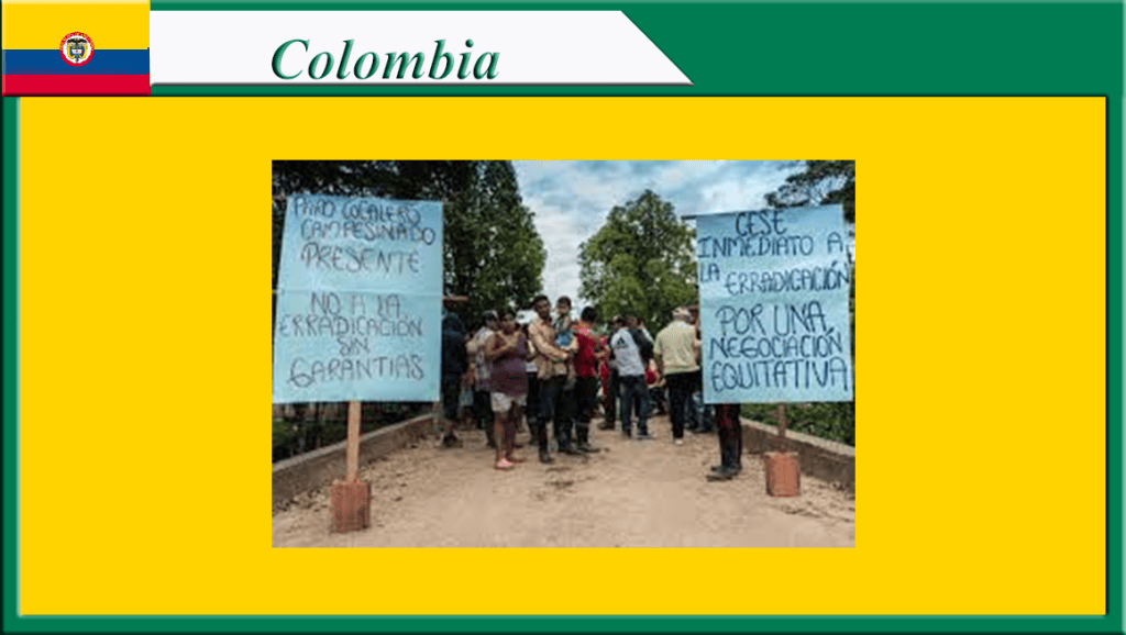 Campesinos cocaleros del Caquetá anuncian protestas ante incumplimientos del Gobierno&nbsp;Nacional