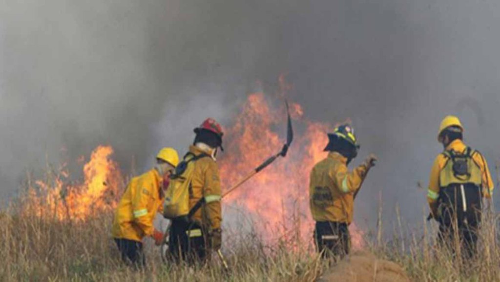 Bolivia expectante por arresto de incendiarios en&nbsp;Roboré