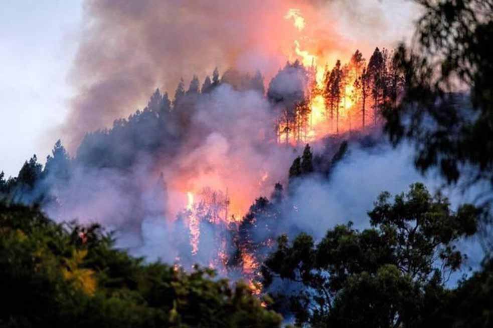Venezuela expresa solidaridad y ofrece ayuda para mitigar incendios en el&nbsp;Amazonas