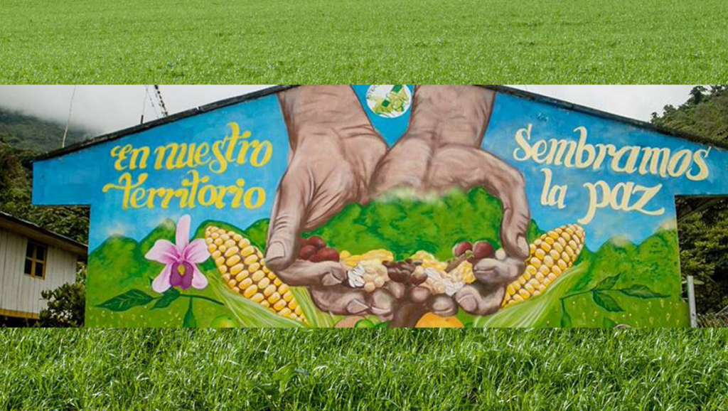 En Florida (Valle) realizarán el XIII Encuentro de Sabores y Saberes&nbsp;Campesinos