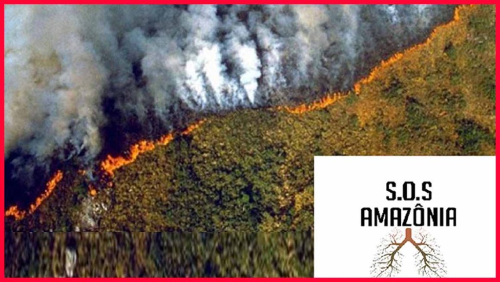 Actos en Brasil y el mundo contra la política ambiental de&nbsp;Bolsonaro