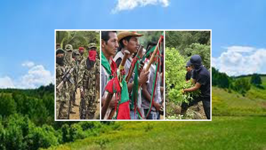 UN CLAMOR DESDE EL&nbsp;CAUCA
