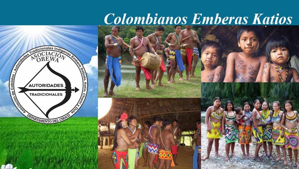 Continúa el genocidio: Guardia indígena en Bagadó (Chocó) gravemente&nbsp;herido.