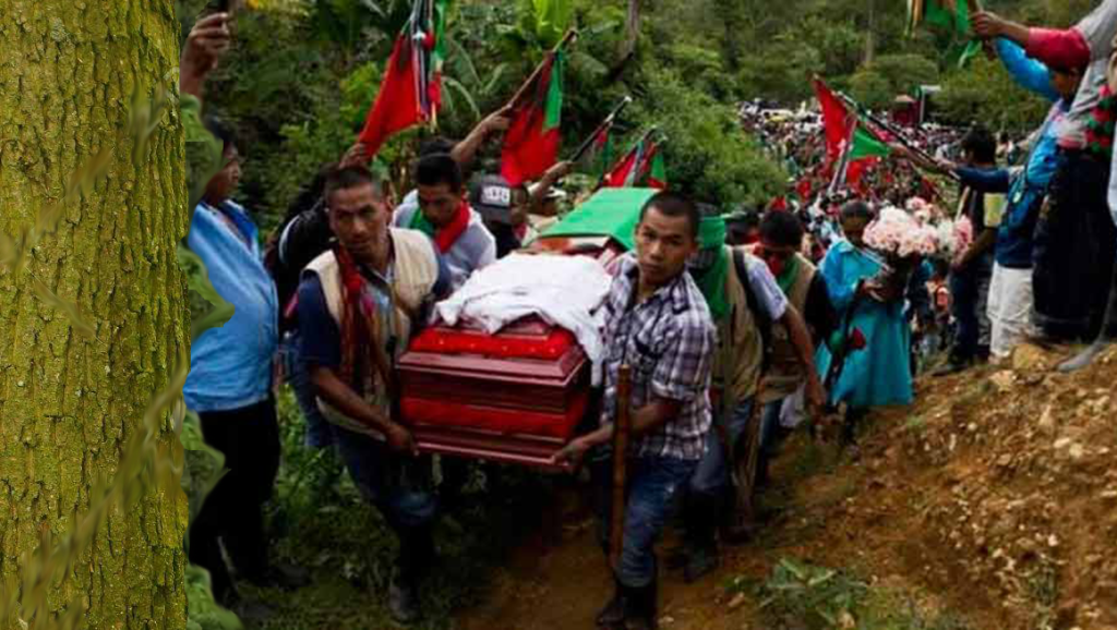 Indígenas y exguerrilleros, blancos de la violencia en&nbsp;Colombia