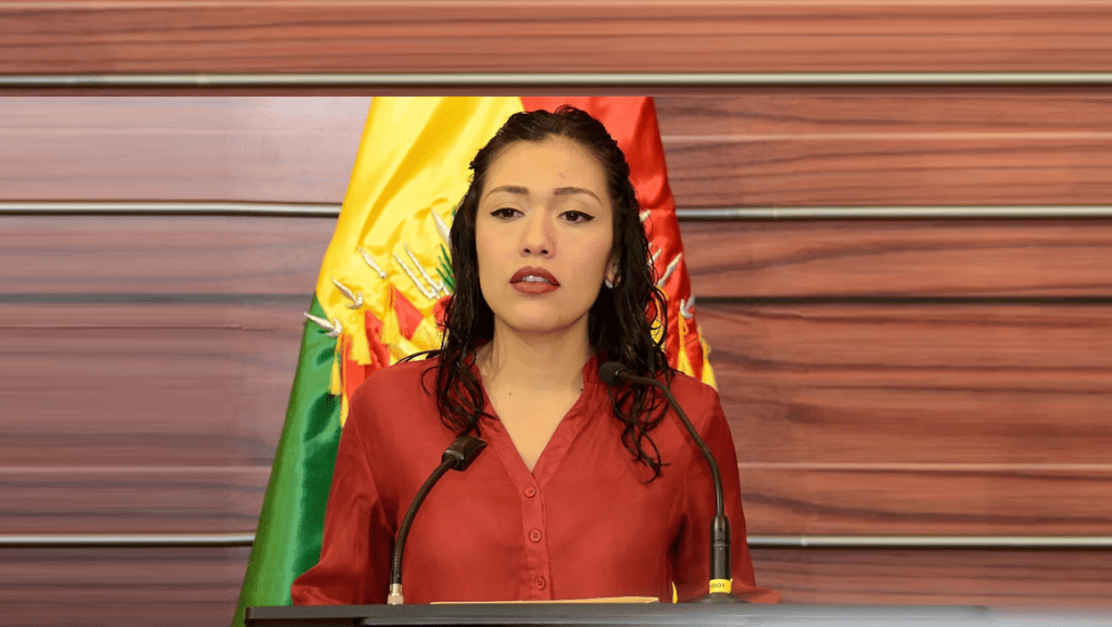 Expresidenta del Senado de Bolivia: Gobierno de Añez tiene características de una&nbsp;dictadura