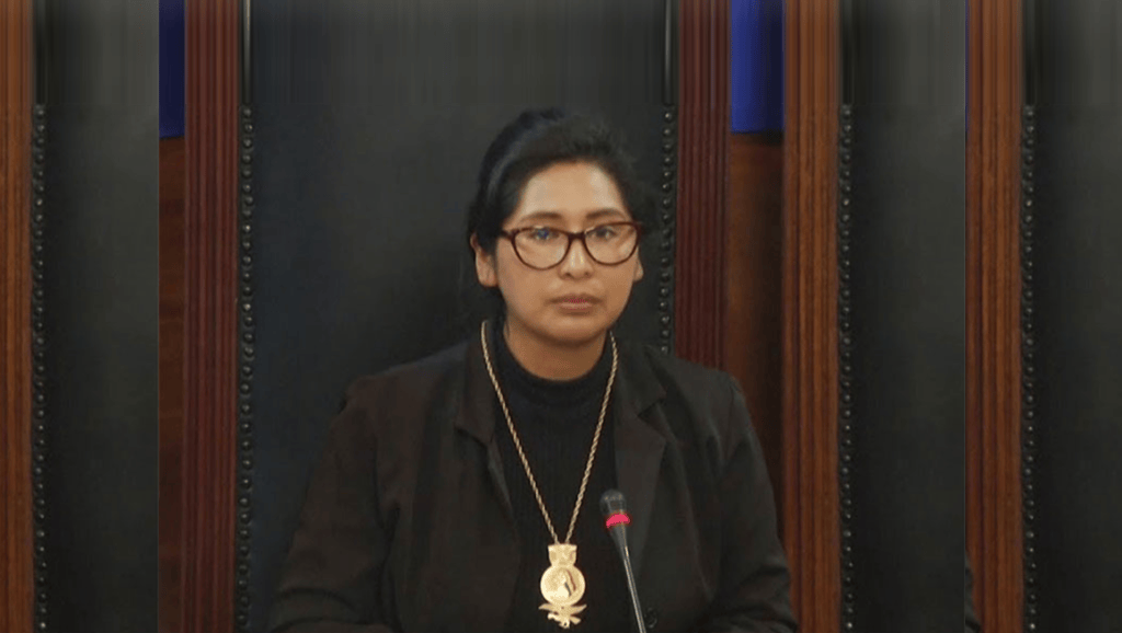 Senado de Bolivia discutirá convocatoria de nuevas&nbsp;elecciones