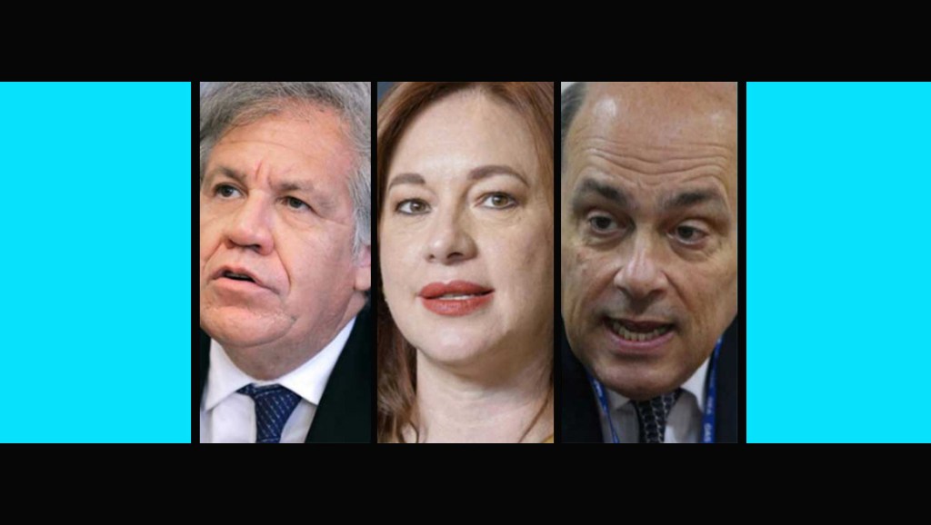 La OEA que&nbsp;viene