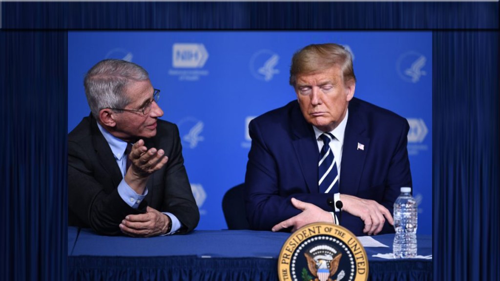 Trump y Fauci: una rivalidad que se alimenta de la&nbsp;Covid-19