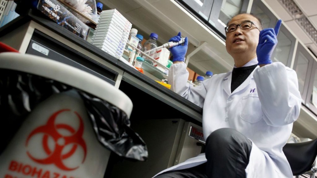 Científicos de EE.UU. y China se alían para buscar el origen del&nbsp;coronavirus