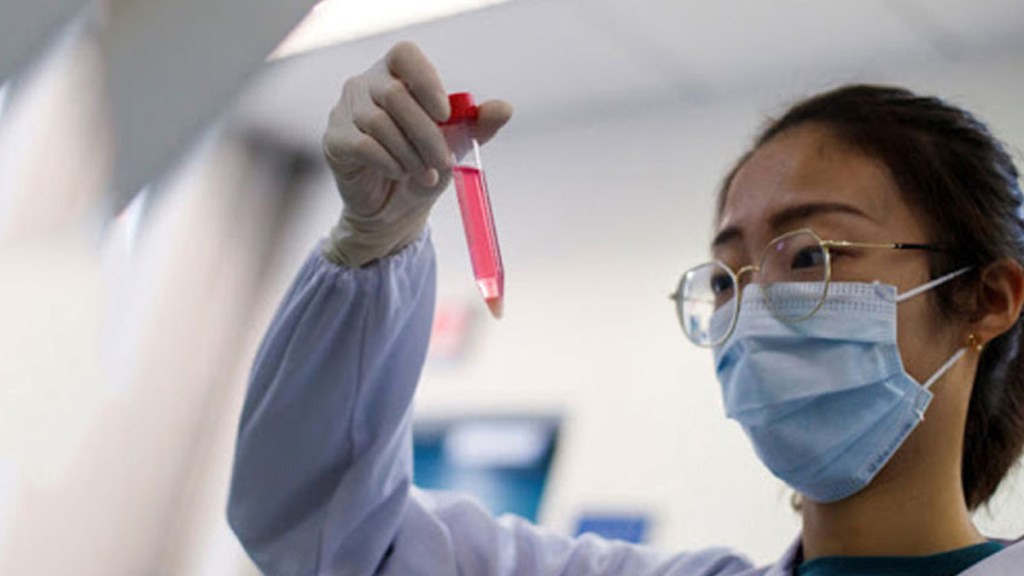 Identifican en China anticuerpos eficaces contra el&nbsp;SARS-CoV-2