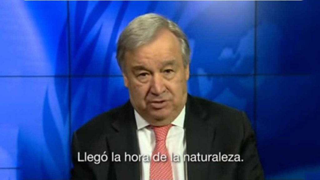 Titular de ONU: para cuidar la humanidad, debe cuidarse la&nbsp;natulareza
