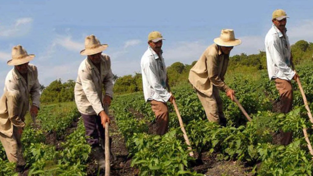 Defender la restitución de tierras y archivar el proyecto de ley 20 de&nbsp;2019