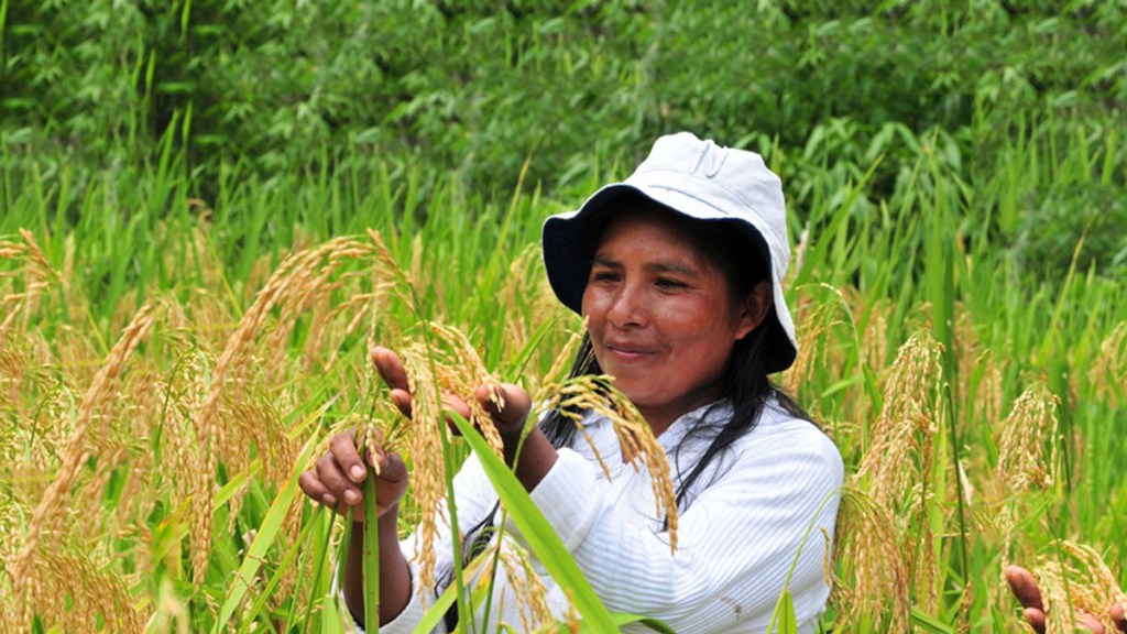 Sin agricultura familiar no sobreviviremos a ninguna&nbsp;pandemia