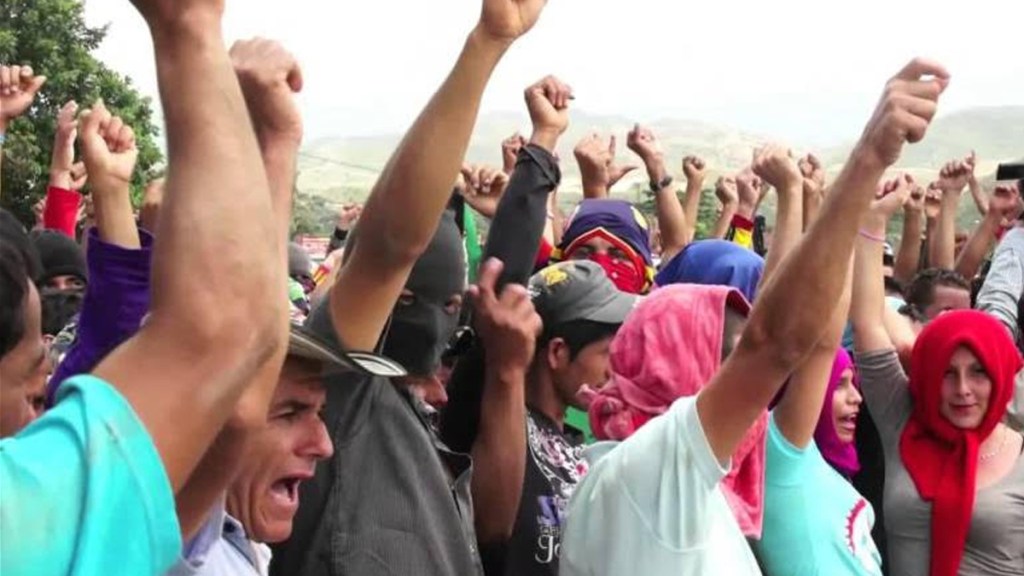 CAUCA. Tribunal ordena suspensión inmediata de erradicación forzada de cultivos de uso&nbsp;ilícito.