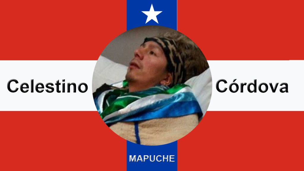 Chile atento a entendimiento entre gobierno y líder&nbsp;mapuche
