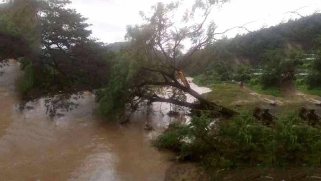 Tormenta Laura causa daños por evaluar en el oriente de&nbsp;Cuba