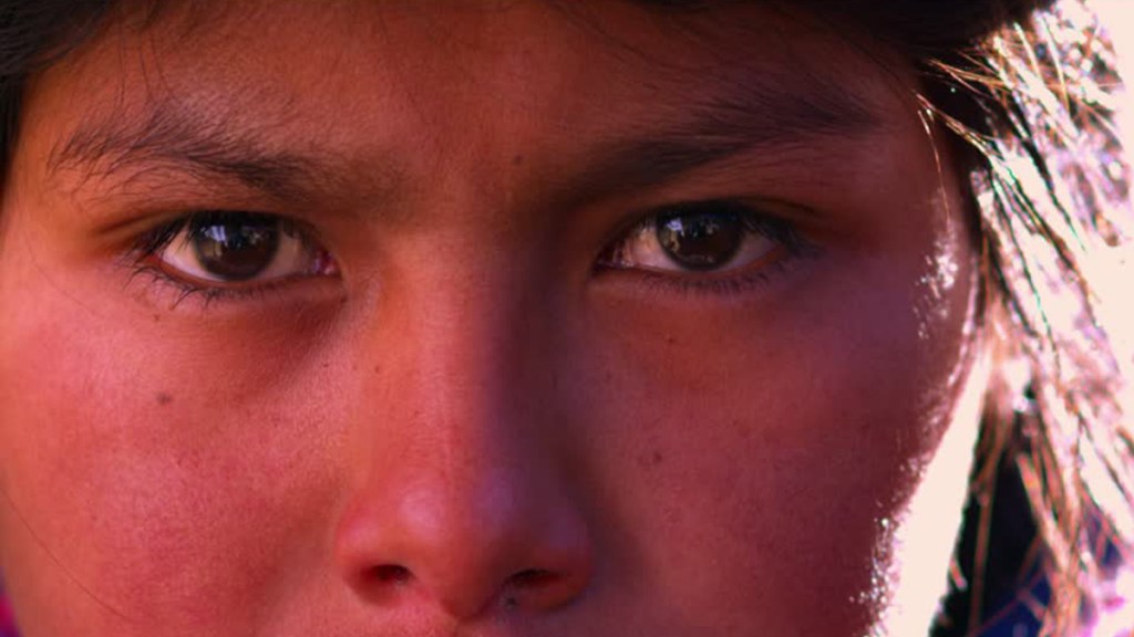 El silencio de indianistas, indigenistas, ambientalistas, feministas… en la Bolivia&nbsp;actual