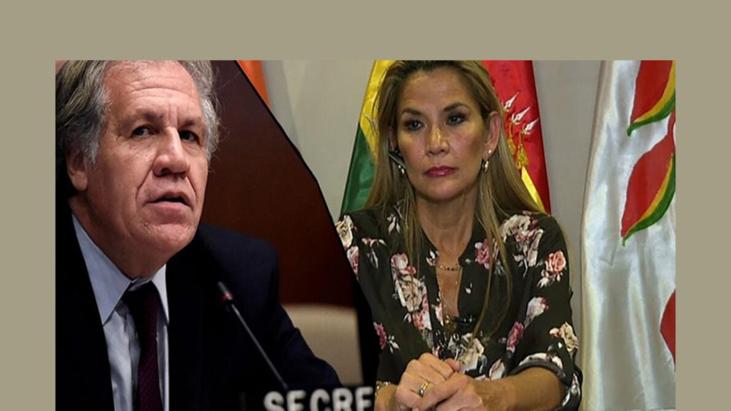 La OEA es responsable de sembrar la muerte en&nbsp;Bolivia