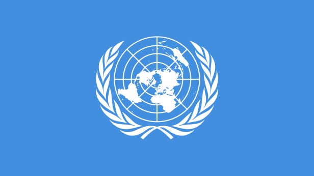 ¿Por qué fracasa la&nbsp;ONU?