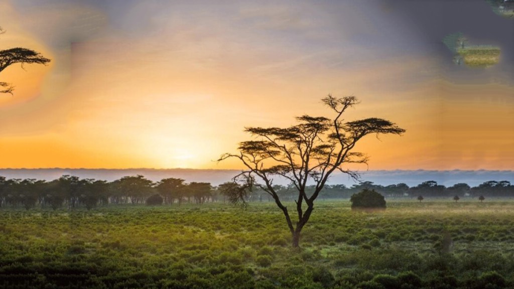 Las petroleras se lanzan al asalto de los parques naturales&nbsp;africanos