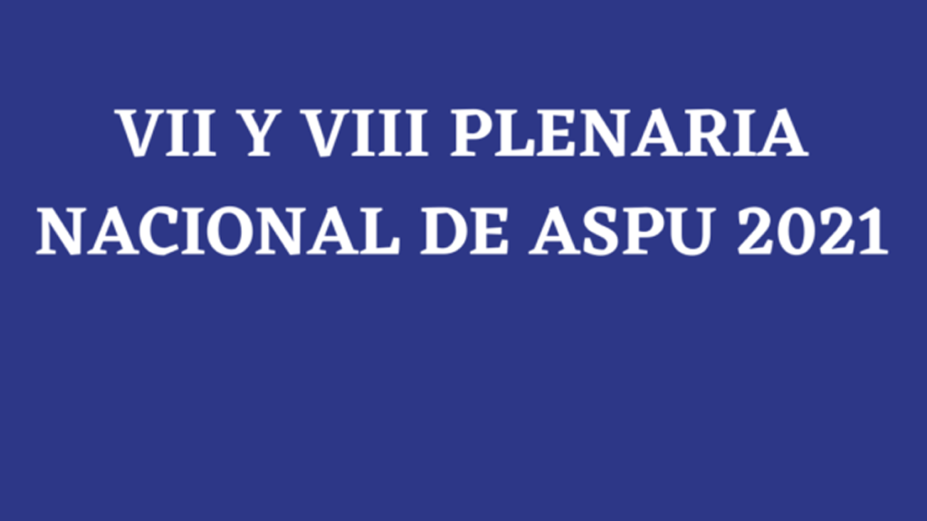 COMITÉ NACIONAL DE&nbsp;PARO
