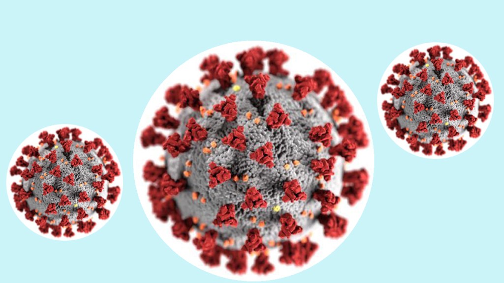 ¿Hubo una fuga del virus en el laboratorio de&nbsp;Wuhan?