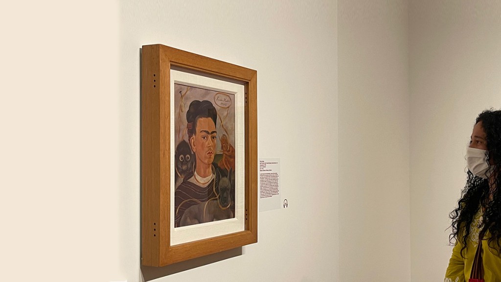La inmensidad de Frida Kahlo lo abarca todo, lo ilumina&nbsp;todo