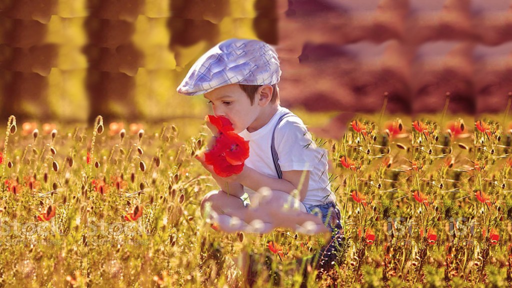 Que florezca la vida, para que ningún niño sea llamado “máquina de&nbsp;guerra”