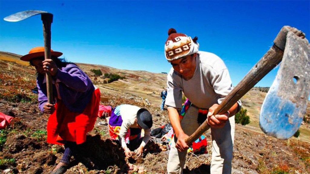Perú, los que nacieron para ser sirvientes, ahora, ya gobiernan al país&nbsp;bicentenario