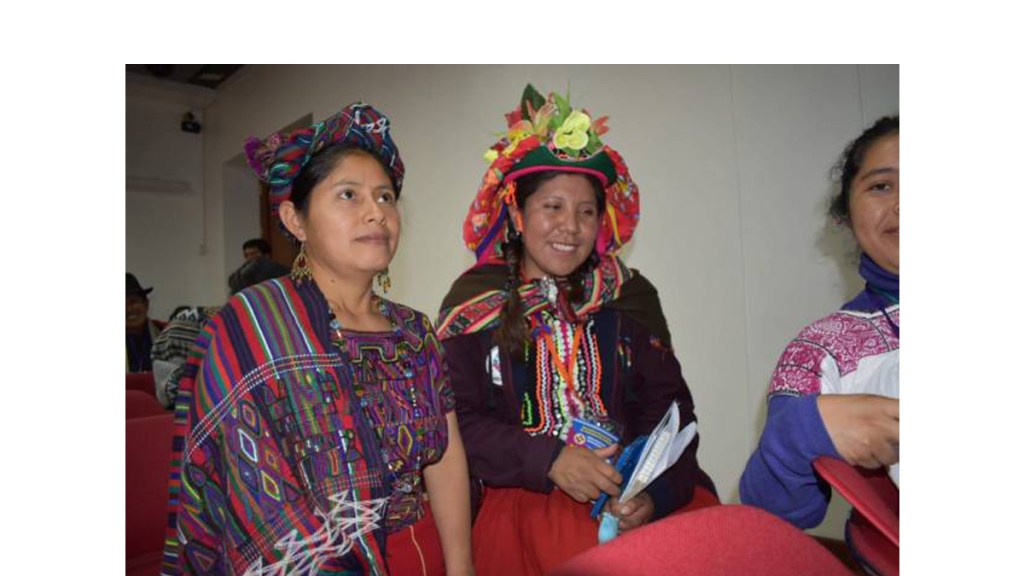 Plurinacionalidad o plurinacionalismo