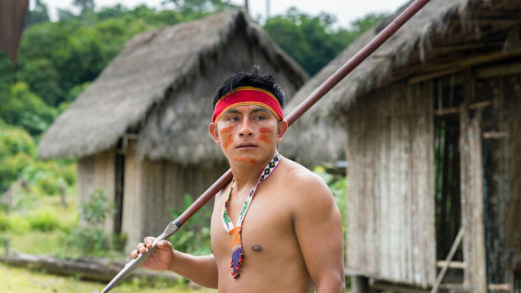 El llamado urgente de los pueblos&nbsp;indígenas
