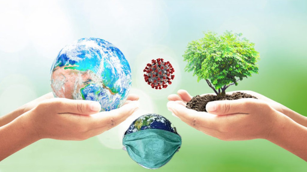 Pandemia y ecología