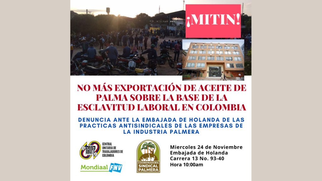 Trabajadores de industria de la palma denuncian esclavitud&nbsp;laboral