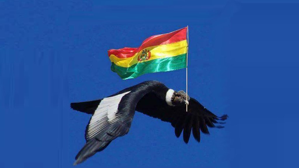 El Cóndor Boliviano Vuela&nbsp;Alto