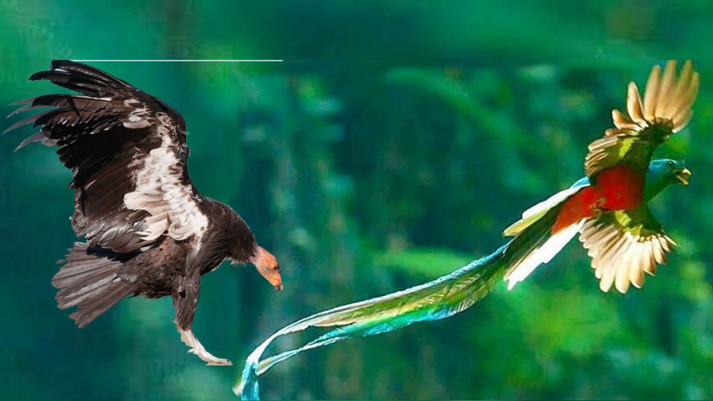 Cuando el Quetzal y el Cóndor vuelen&nbsp;juntos