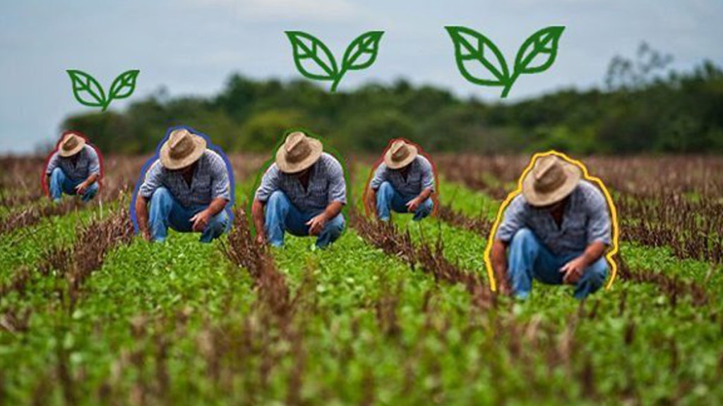 A un año de aprobadas, ¿cómo marchan las 63 medidas para dinamizar la agricultura?&nbsp;(Video)