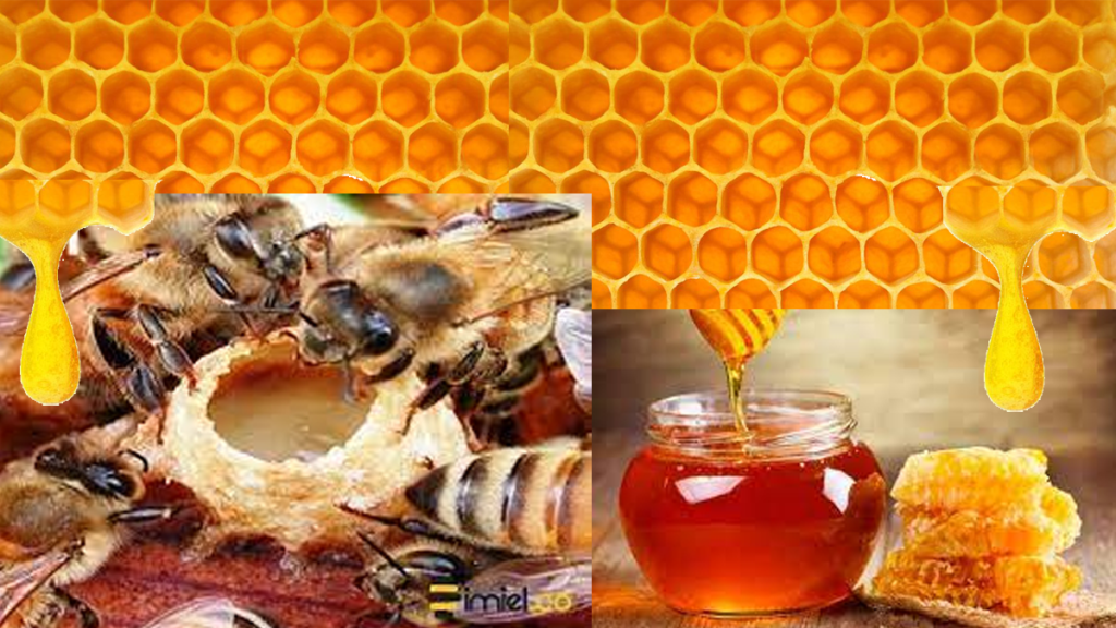 SALVEMOS LAS ABEJAS PARA PRESERVAR LA ESPECIE&nbsp;HUMANA