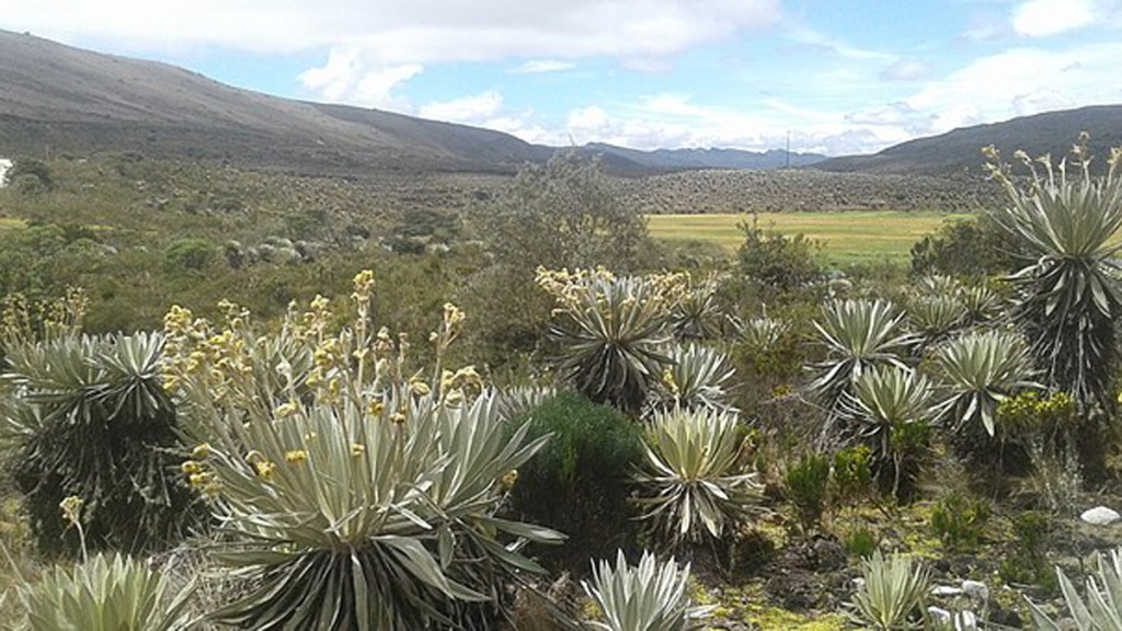 Denuncian juntas Comunales de&nbsp;Sumapaz￼