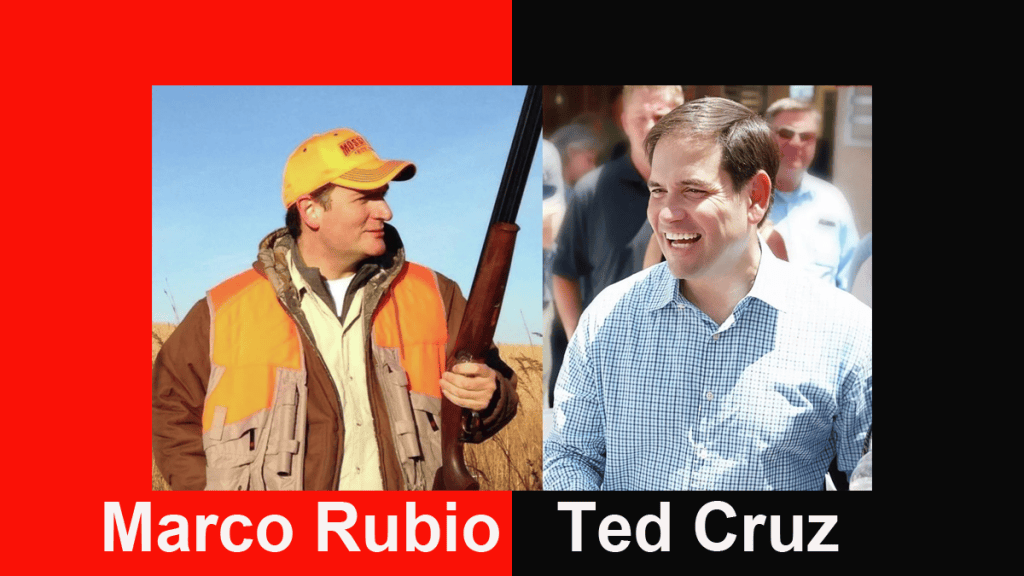 Esto ganan Marco Rubio y Ted Cruz del lobby armamentista de&nbsp;EEUU