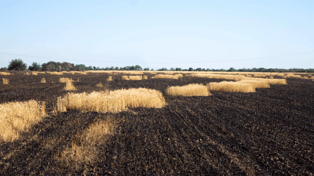 ¿Por qué Ucrania reduce a cenizas las tierras que&nbsp;pierde?