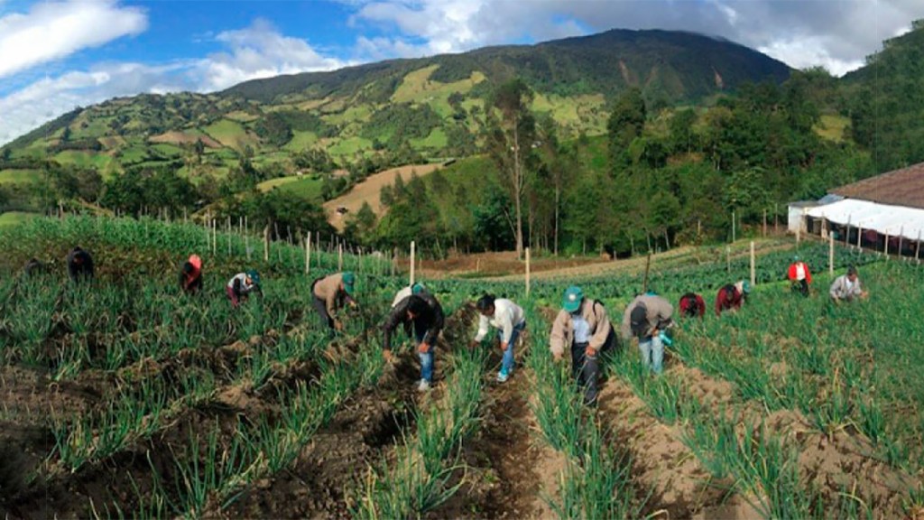 DECLARACIÓN DE AGENDA NACIONAL CAMPESINA DE&nbsp;COLOMBIA