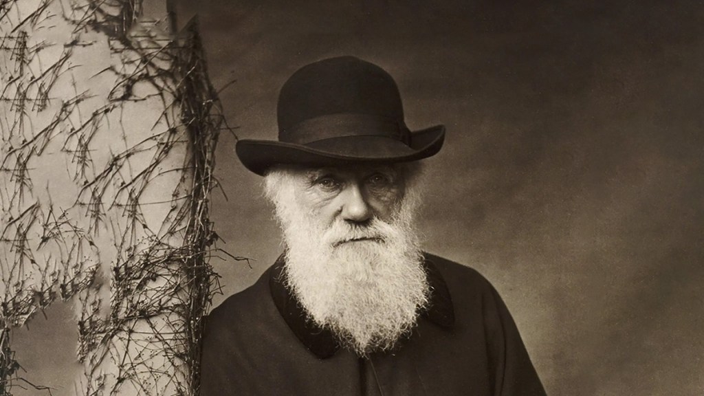 Marx y Engels, lectores de&nbsp;Darwin