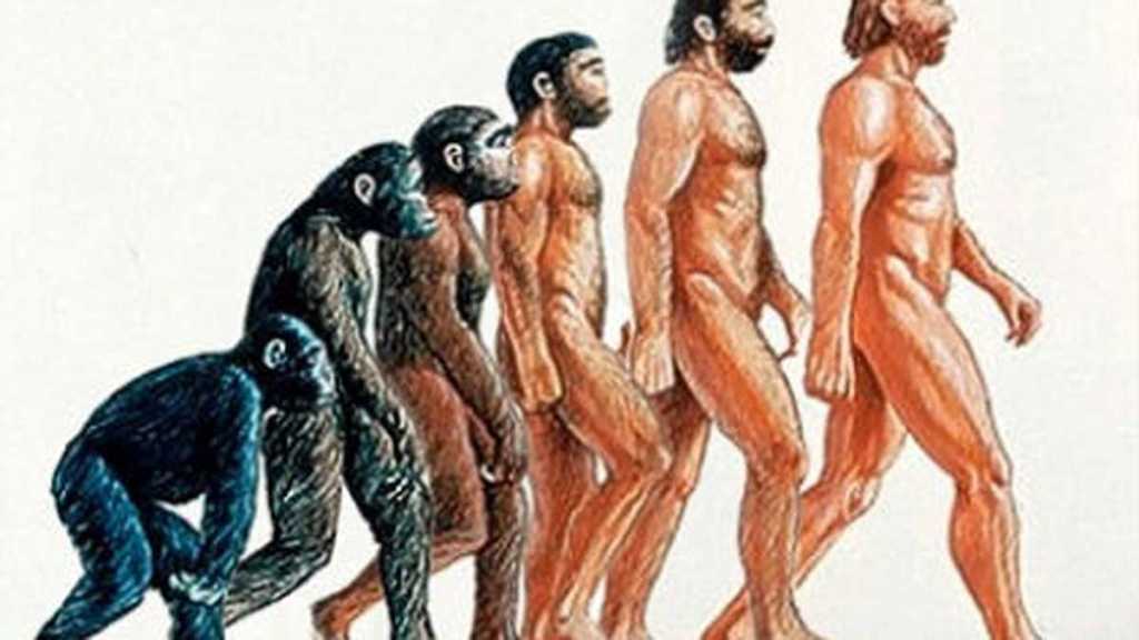 Informe sobre la especie&nbsp;humana