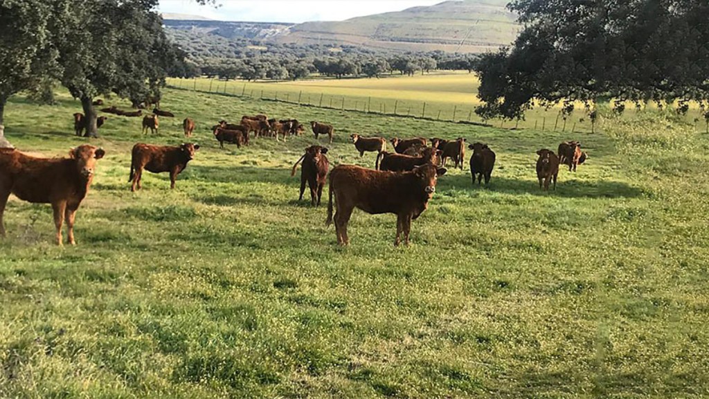 Reforma agraria: manos a la&nbsp;obra