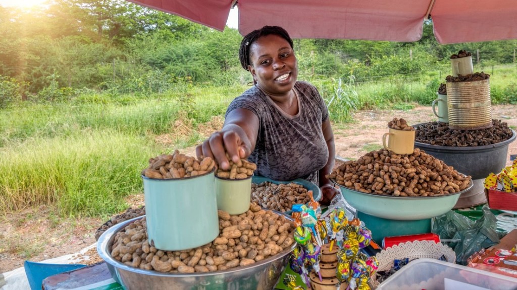 El Reino Unido ayudará a dos países africanos a cultivar insectos para combatir el&nbsp;hambre