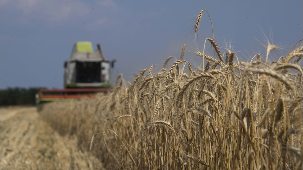 Rusia aumenta exportaciones agrícolas en un&nbsp;17%