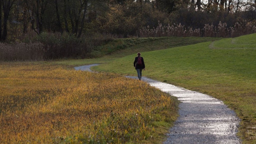 Científicos descubren por qué nuestro cerebro necesita de caminatas entre la&nbsp;naturaleza