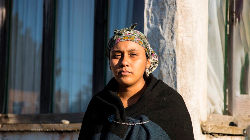 «Esta lucha es por la tierra, la vida y un buen vivir que merecemos&nbsp;todos»