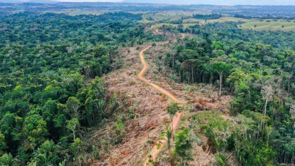 El aumento de la demanda de aceite de soja para combustibles amenaza con colapsar la Amazonía&nbsp;brasileña
