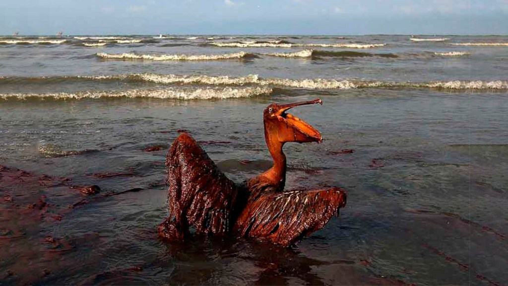 ¡No hay cambio climático! Hay desastre ecológico causado por el modelo&nbsp;capitalista